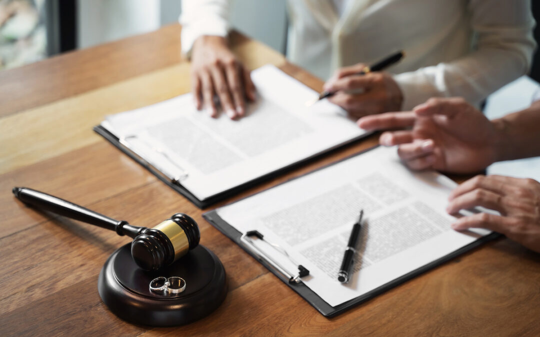 UIDDA paralegal